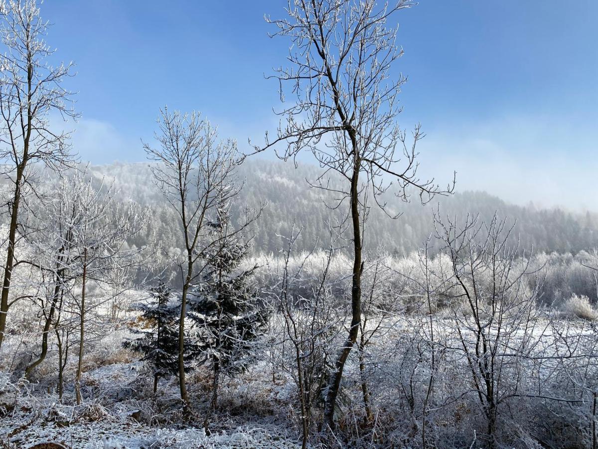 Pokoje Goscinne Pod Jaworem - Obok Pieknego Szlaku Wzdluz Rzeki Bialka, 1Km Do Stokow Kotelnica Εξωτερικό φωτογραφία